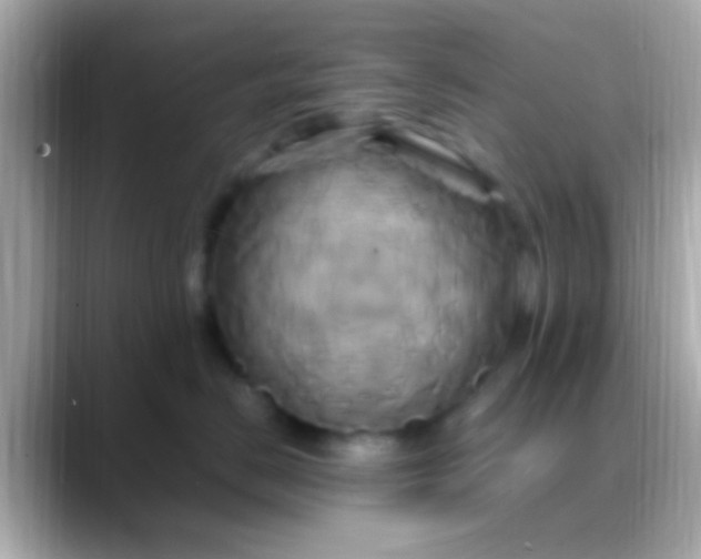 X0000088480670200706051401