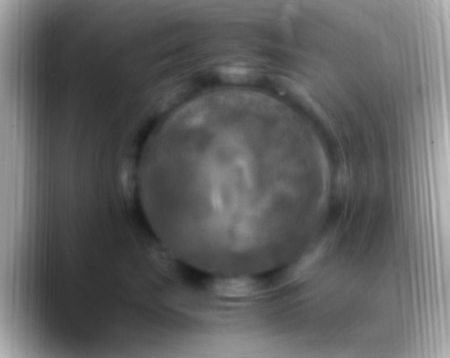 X0000088480671200706051401