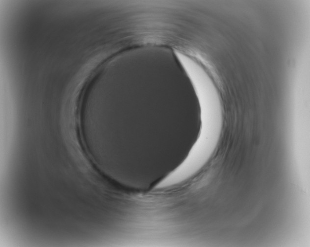 X0000088480673200706051401