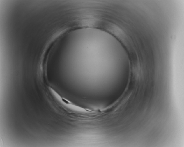 X0000088480674200706051401