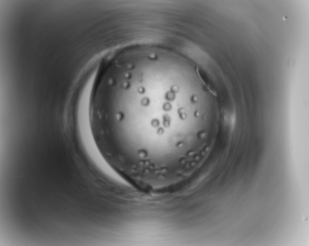 X0000088480676200706051401