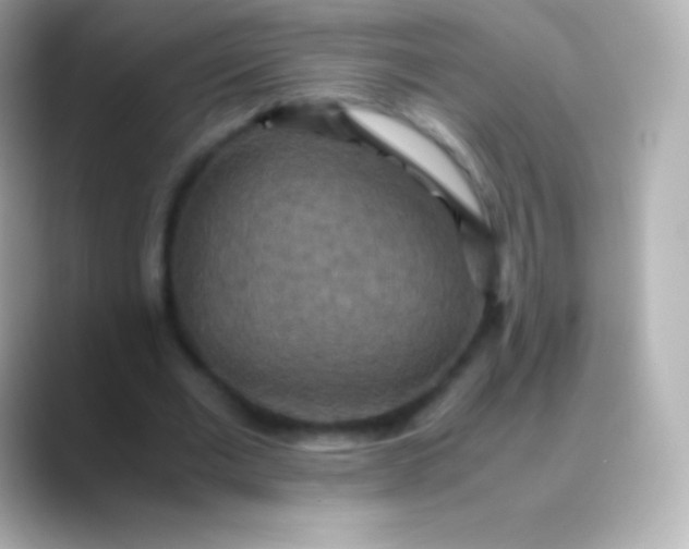 X0000088480677200706051401
