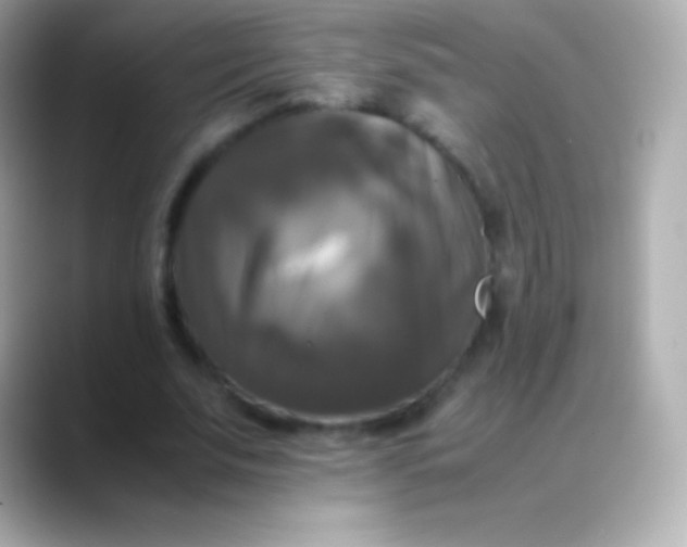 X0000088480679200706051401