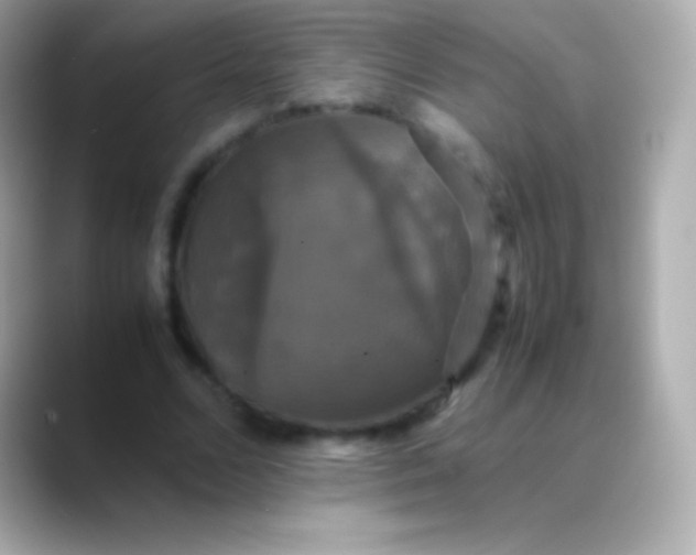 X0000088480680200706051401