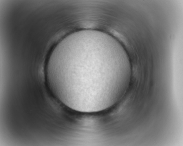 X0000088480682200706051401