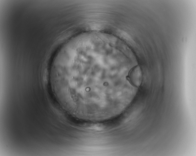 X0000088480683200706051401