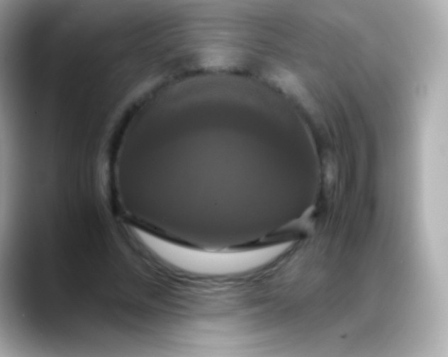 X0000088480684200706051401