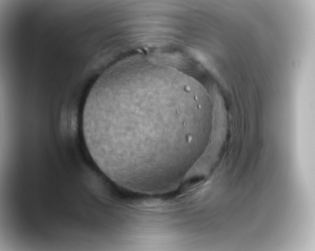 X0000088480685200706051401
