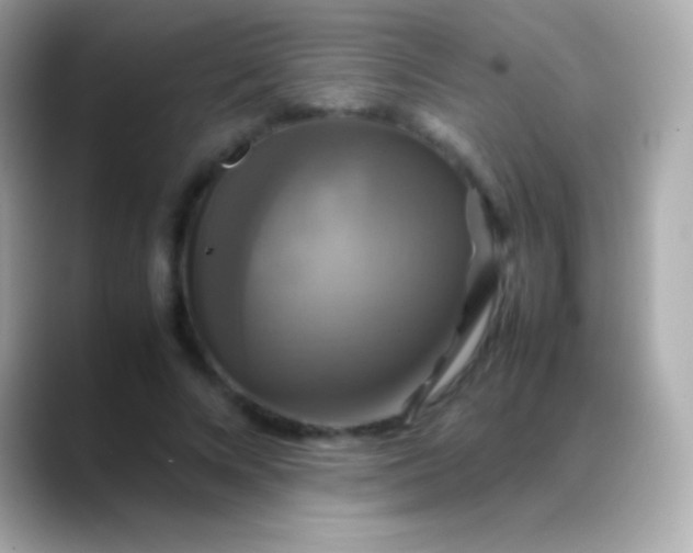X0000088480688200706051401
