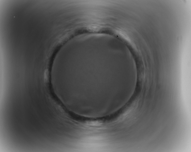 X0000088480689200706051401