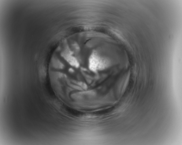 X0000088480691200706051401