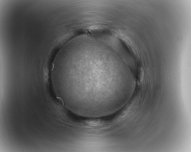 X0000088480693200706051400