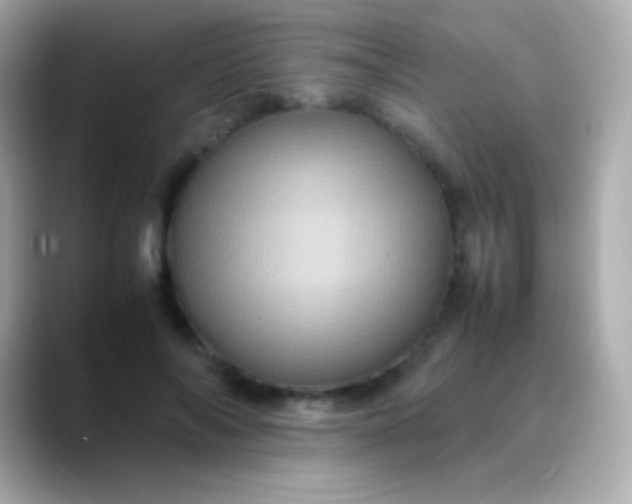 X0000088480694200706051400