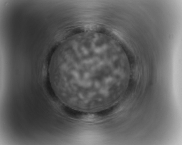 X0000088480695200706051400
