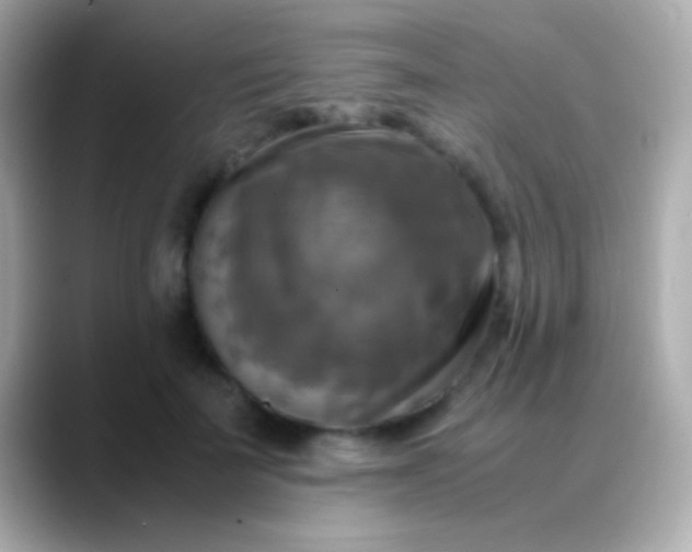 X0000088480699200706051400