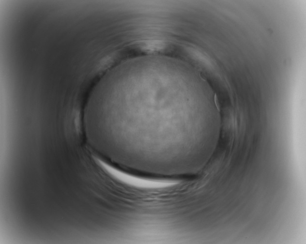 X0000088480700200706051400