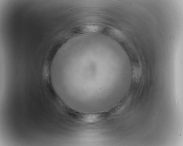 X0000088480701200706051400