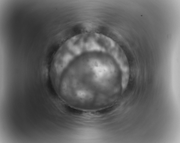 X0000088480703200706051400