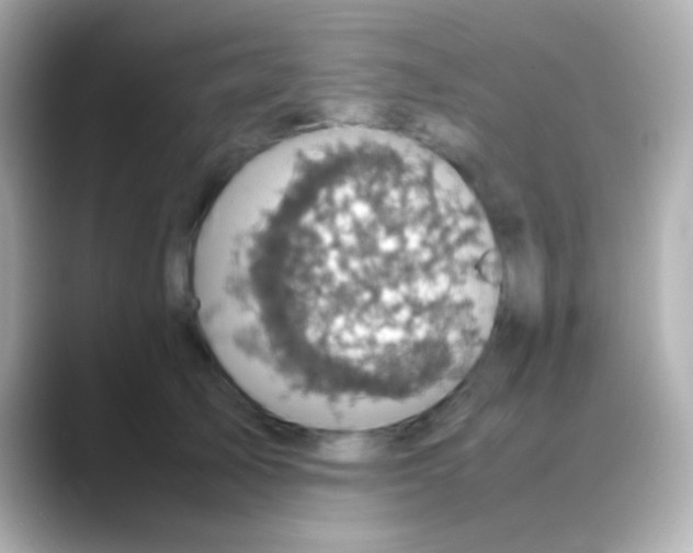 X0000088480705200706051400