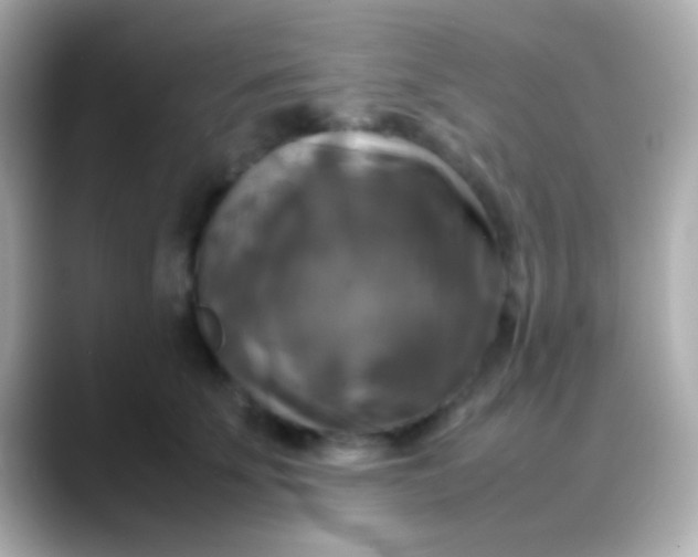 X0000088480707200706051400