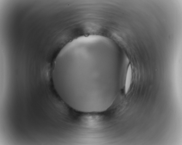 X0000088480712200706051400