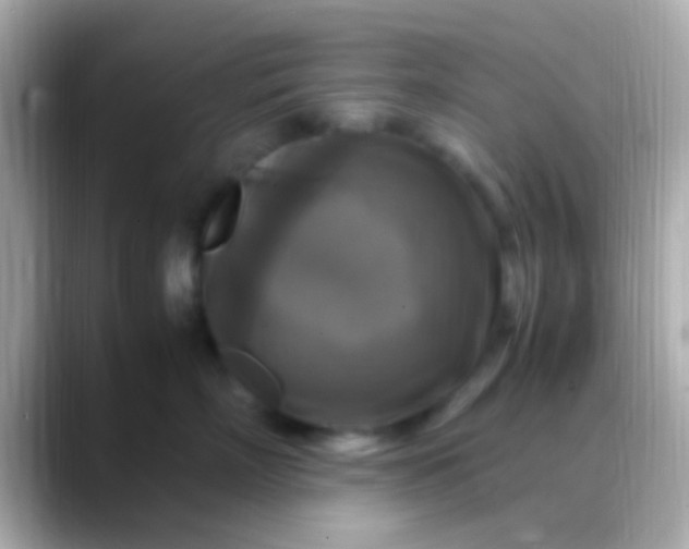 X0000088480718200706051400