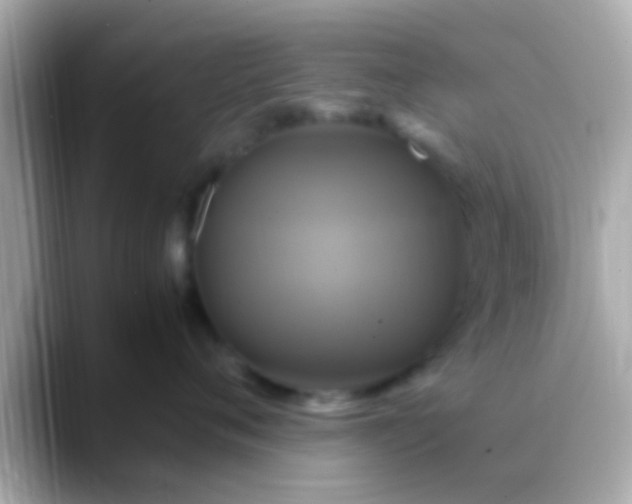 X0000088480720200706051400
