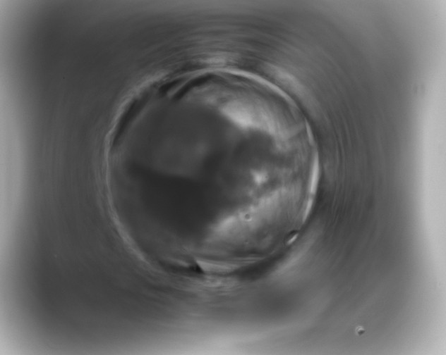 X0000088480721200706051400