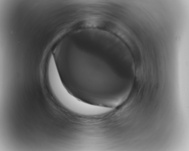 X0000088480722200706051400