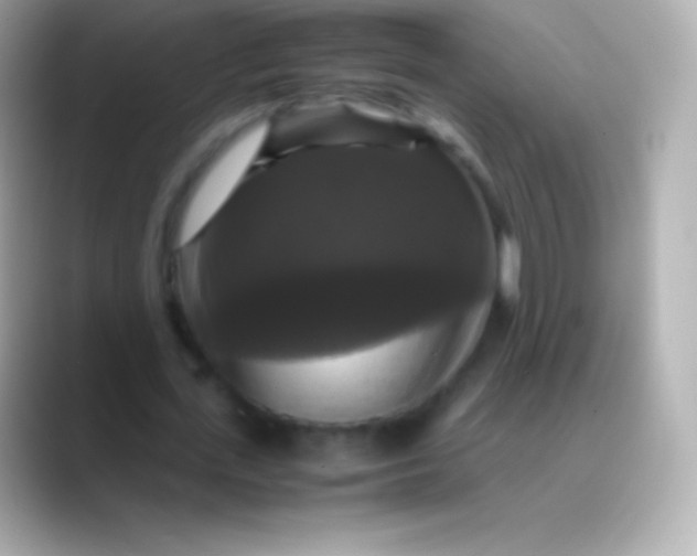 X0000088480723200706051400