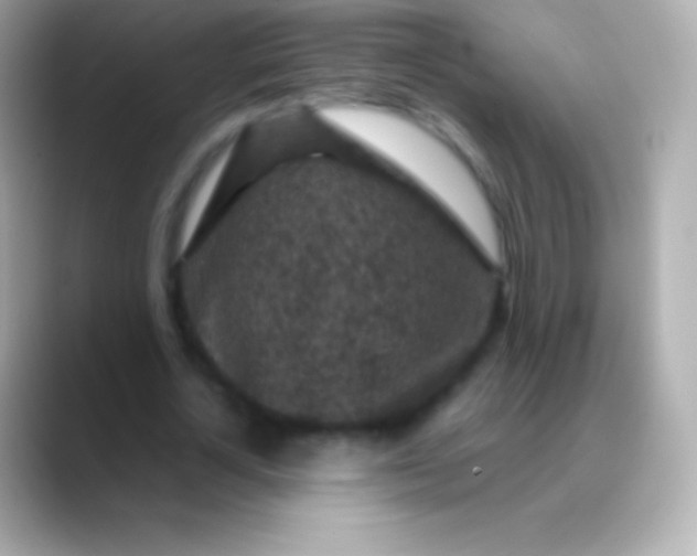 X0000088480724200706051400