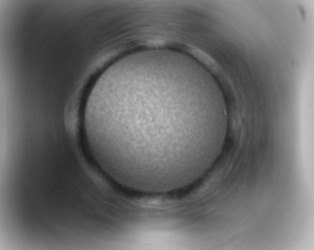 X0000088480728200706051400