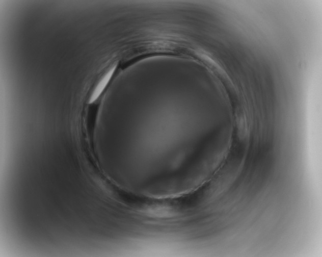 X0000088480729200706051400