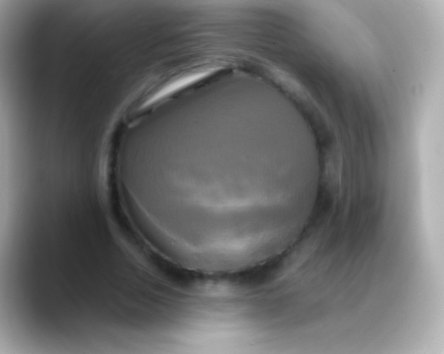 X0000088480730200706051400