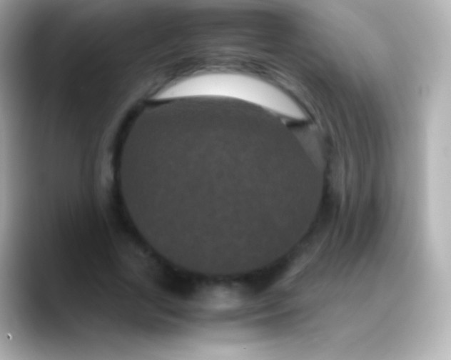 X0000088480731200706051400