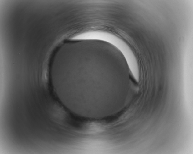 X0000088480732200706051400