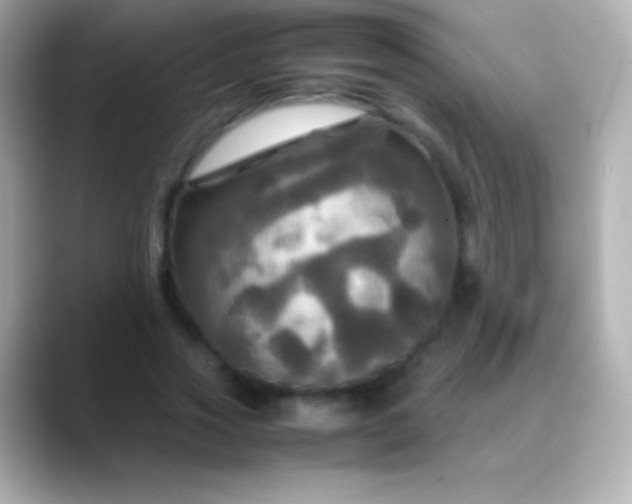 X0000088480733200706051400