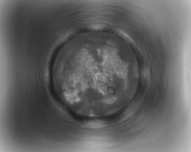 X0000088480734200706051400