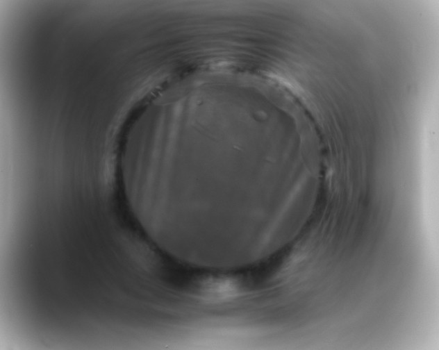 X0000088480735200706051400