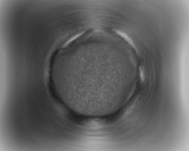 X0000088480736200706051400