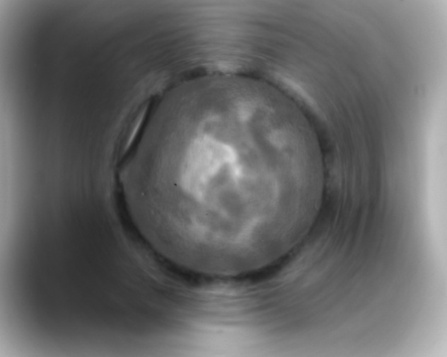X0000088480738200706051400