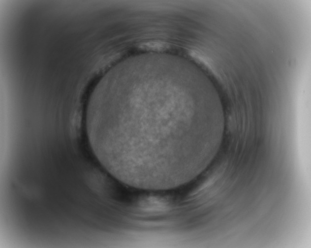X0000088480739200706051400