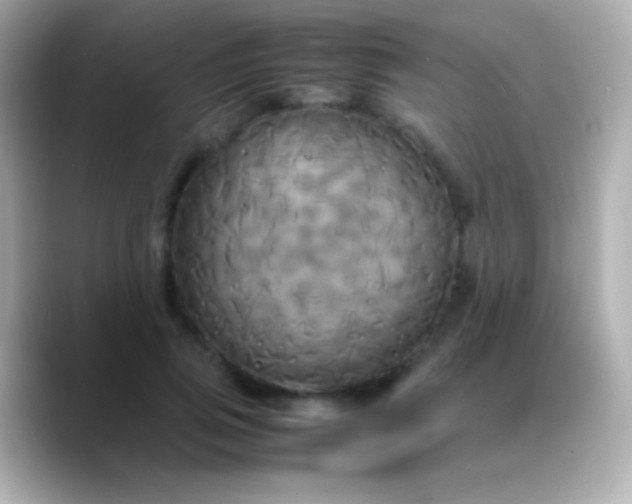 X0000088480741200706051400