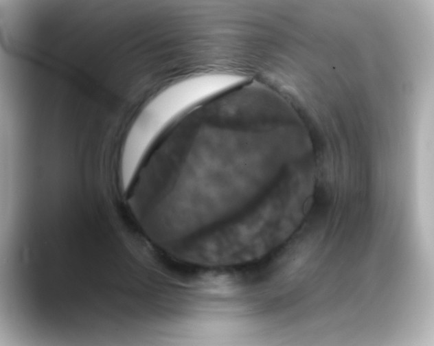 X0000088480742200706051400