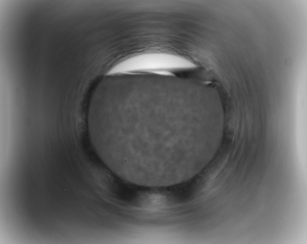 X0000088480743200706051400