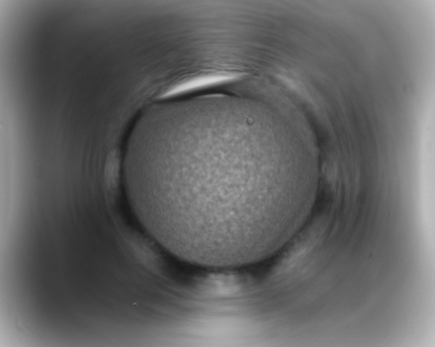 X0000088480744200706051400