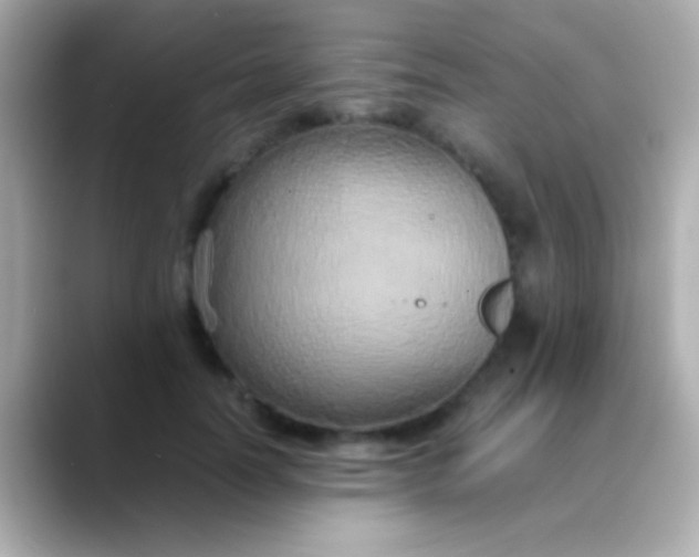 X0000088480746200706051400