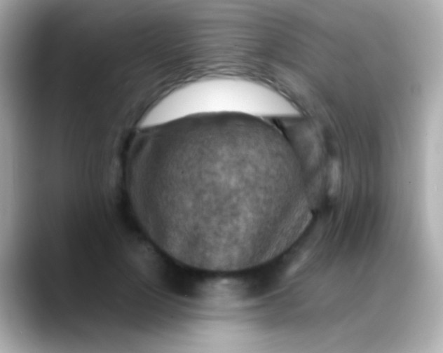 X0000088480748200706051400