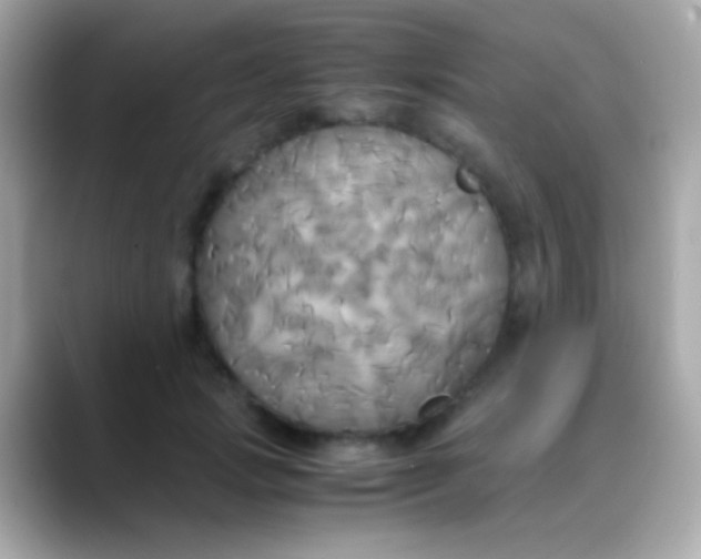 X0000088480749200706051400
