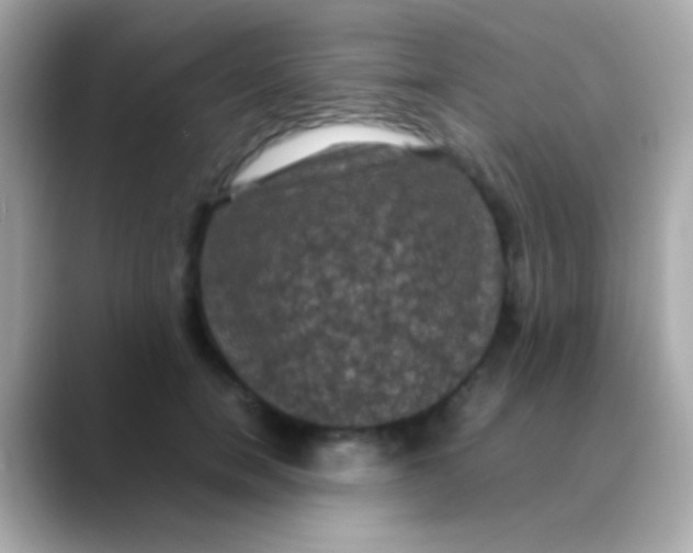 X0000088480750200706051400